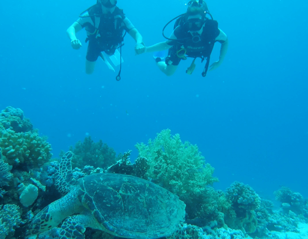 Screen Shot 2017-08-04 at 12.16.14 PM